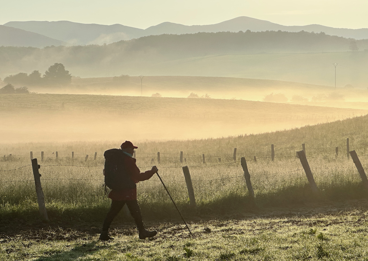 Il mio cammino Il mio cammino