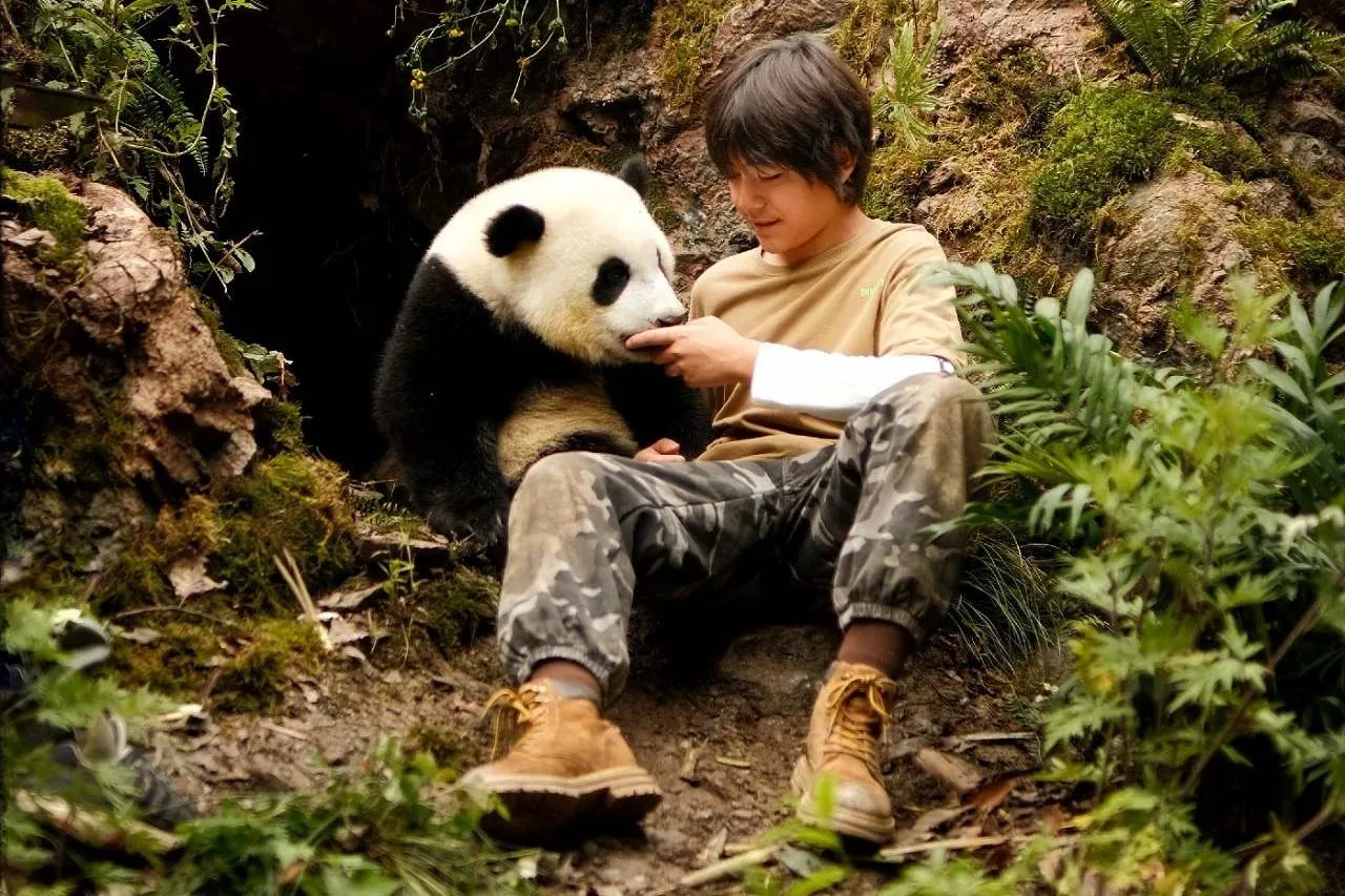 Moon - Il panda