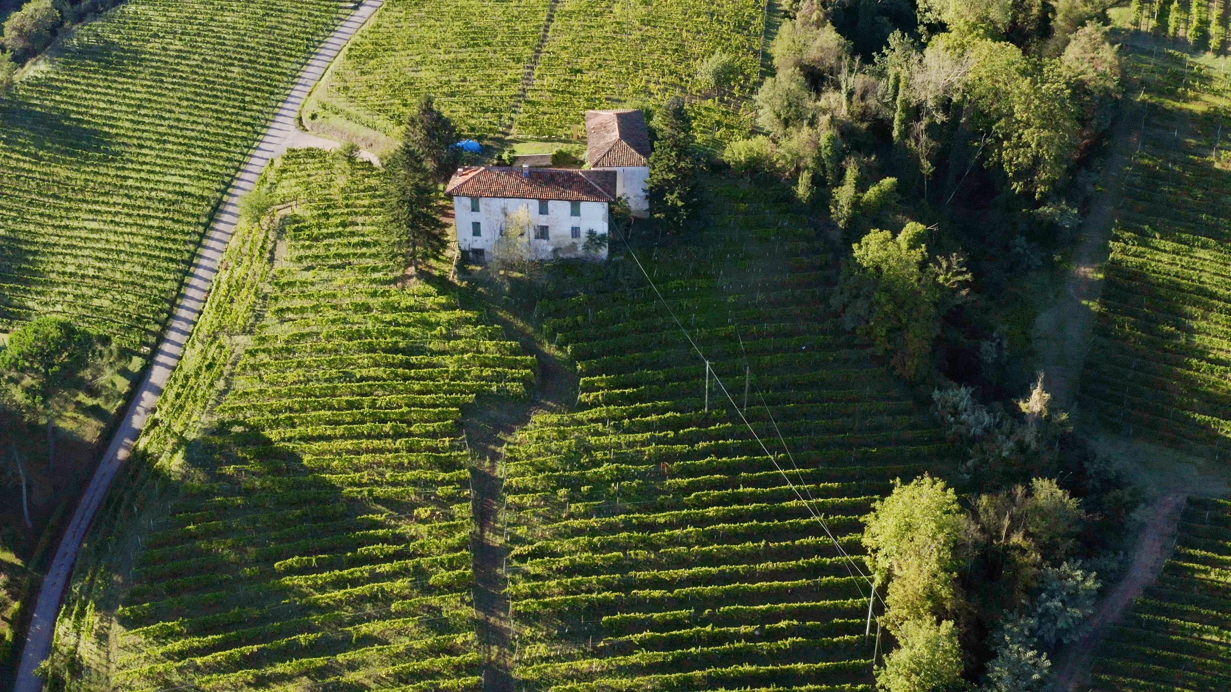 Il mestiere di vivere